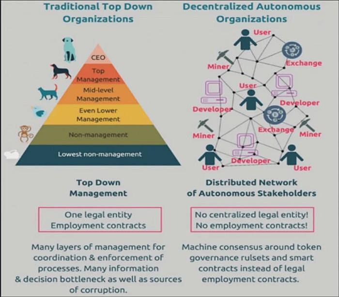 Struttura dell’organizzazione vettoriale (da Piramide in Rete) di ZigDao